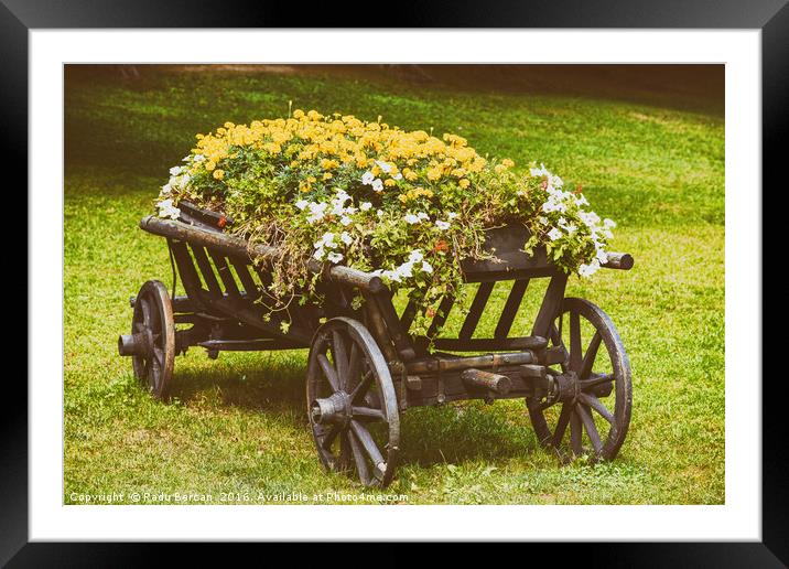 Flower Country Wagon On Green Grass Framed Mounted Print by Radu Bercan