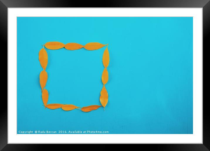 Square Shape Yellow Autumn Leaves On Turquoise Woo Framed Mounted Print by Radu Bercan