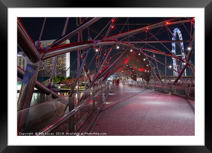  Singapore's Helix bridge  Framed Mounted Print by Rob Lucas