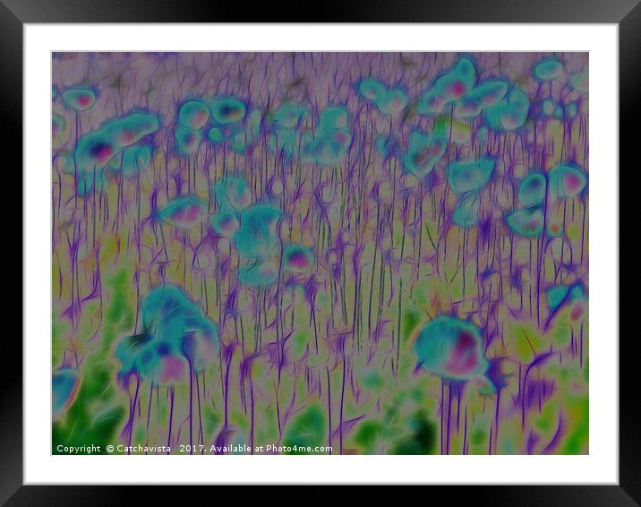 Enchanted Blue Poppy Field Framed Mounted Print by Catchavista 