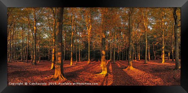 Autumn's Endearing Embrace Framed Print by Catchavista 