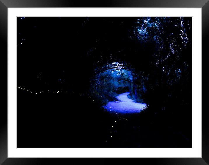 Fireflies in the woods Framed Mounted Print by Massimo Lama