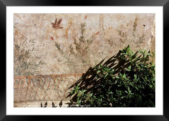 Fresco in villa oplontis Framed Mounted Print by Massimo Lama