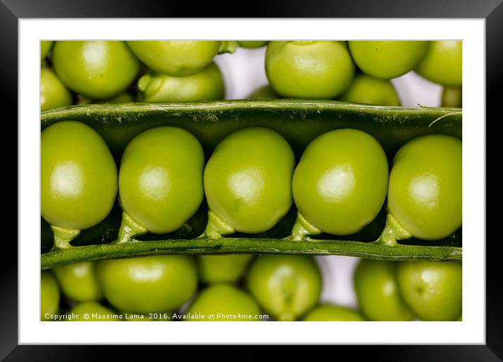 fresh green peas Framed Mounted Print by Massimo Lama