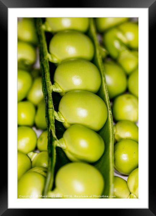 fresh green peas Framed Mounted Print by Massimo Lama