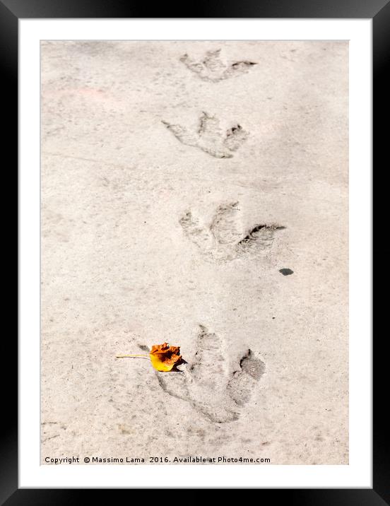 Dinosaur footprints Framed Mounted Print by Massimo Lama