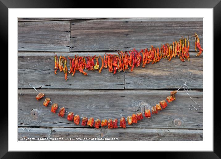 dry chillis Framed Mounted Print by Massimo Lama