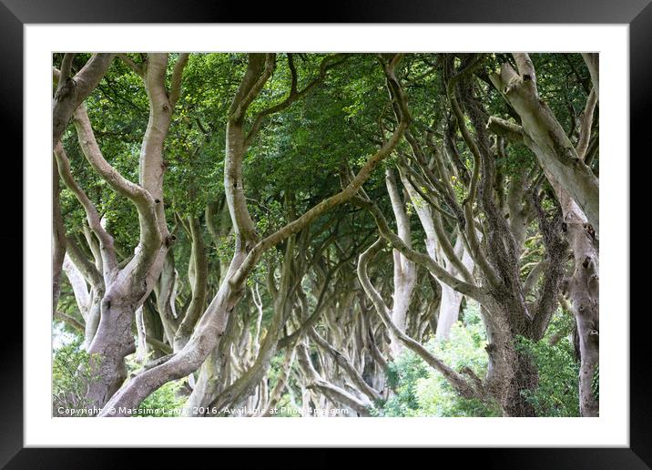 Magical forest, Northern Ireland Framed Mounted Print by Massimo Lama