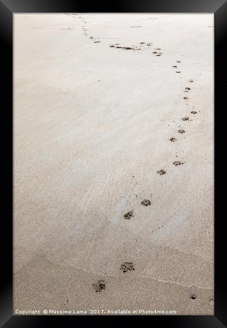 Footprints on tha sand Framed Print by Massimo Lama