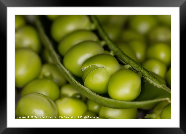 Fresh green peas  Framed Mounted Print by Massimo Lama