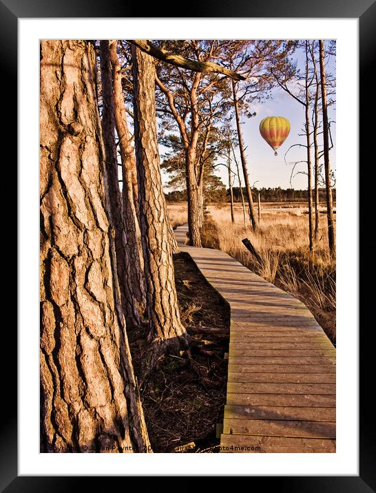 Balloon flight over Thursley Nature Reserve Framed Mounted Print by Julian Paynter