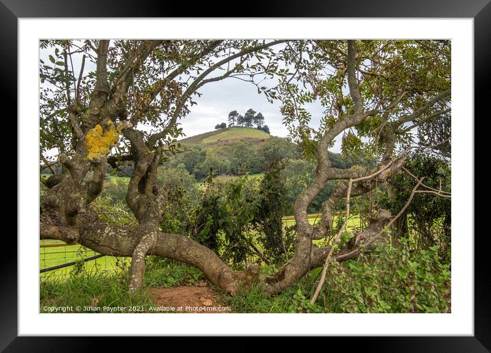 Framed Colmers Hill Framed Mounted Print by Julian Paynter