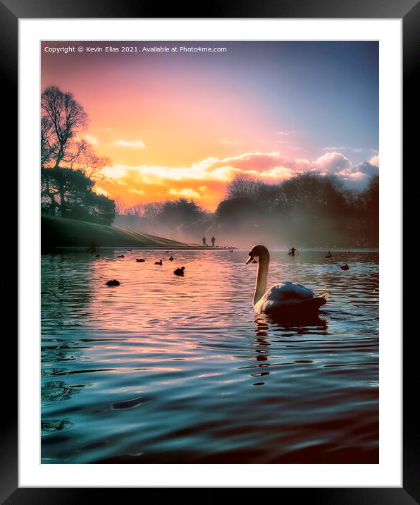 Swan lake  Framed Mounted Print by Kevin Elias