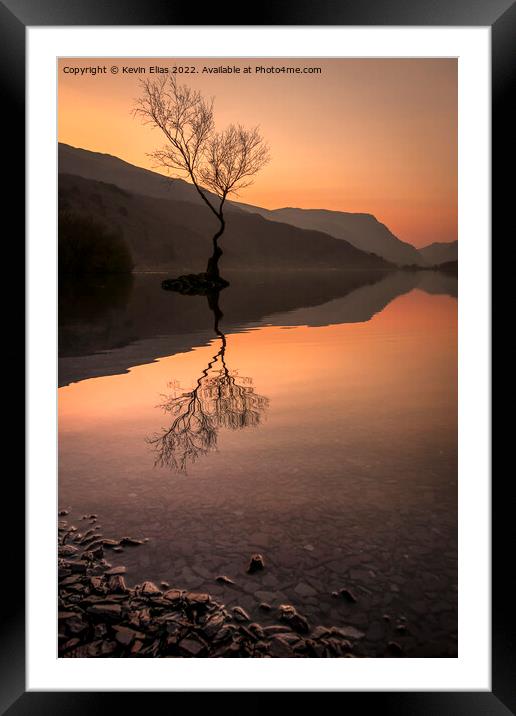 Solitary Splendour: Llyn Padarn's Lone Tree Framed Mounted Print by Kevin Elias