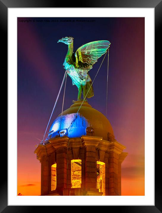 Liverpool liverbird Framed Mounted Print by Kevin Elias