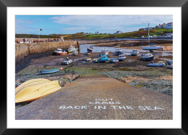 Anglesey harbor Framed Mounted Print by Kevin Elias