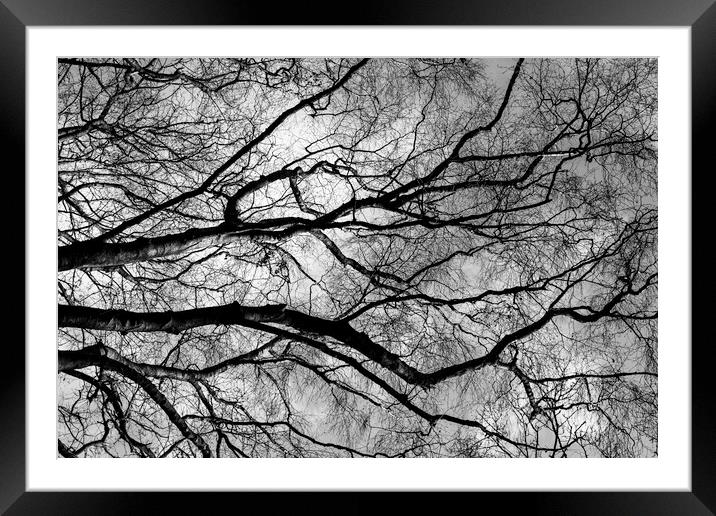 Arteries of life Framed Mounted Print by Kevin Elias