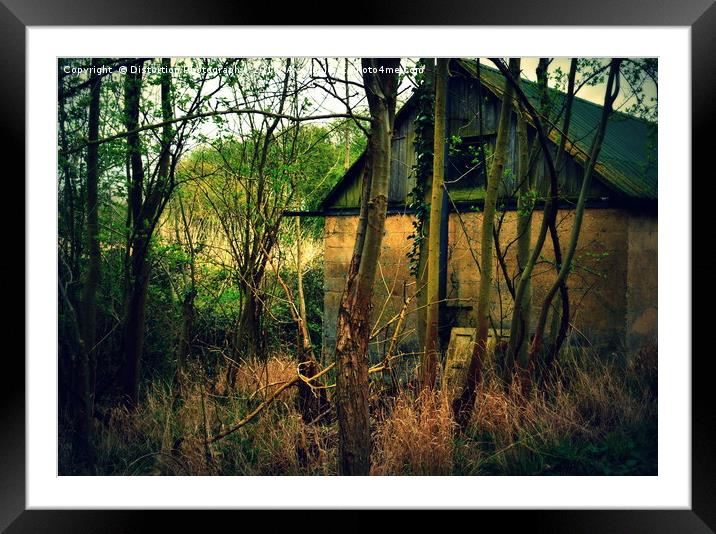 Abandoned Framed Mounted Print by Distortion Photography