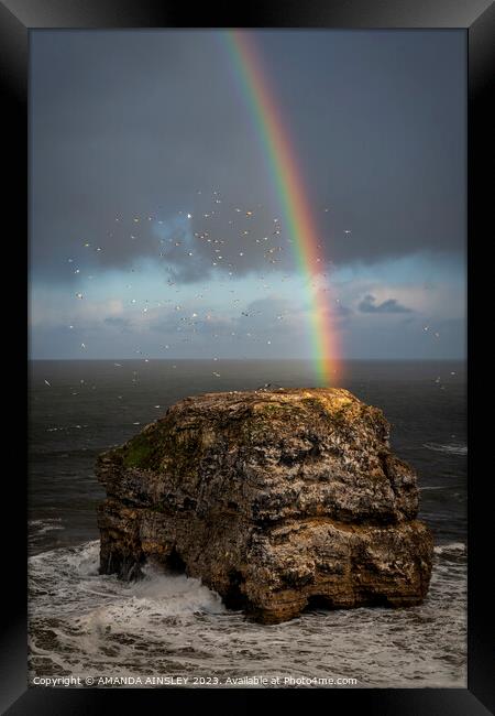 Rainbow at Marsden Rock Framed Print by AMANDA AINSLEY
