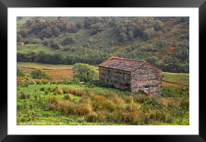 Stone Barn at Angram in The Yorkshire Dales Framed Mounted Print by AMANDA AINSLEY