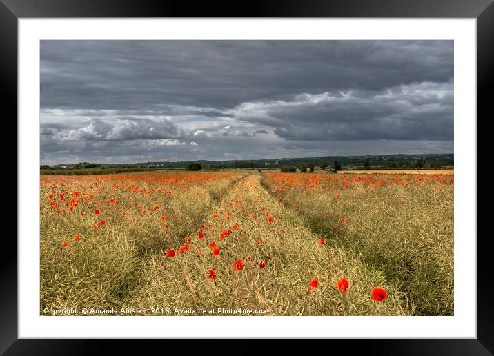 Storm Clouds over Poppies Framed Mounted Print by AMANDA AINSLEY