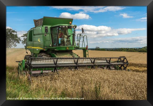 Harvest Time in Teesdale Framed Print by AMANDA AINSLEY