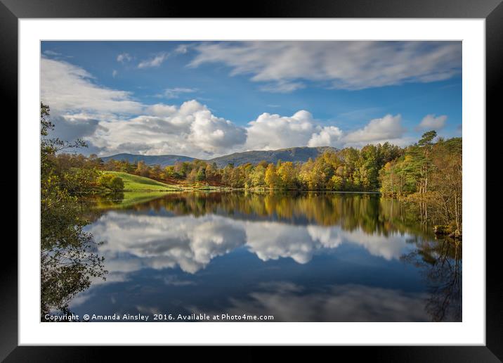 Autumn at Tarn Hows  Framed Mounted Print by AMANDA AINSLEY