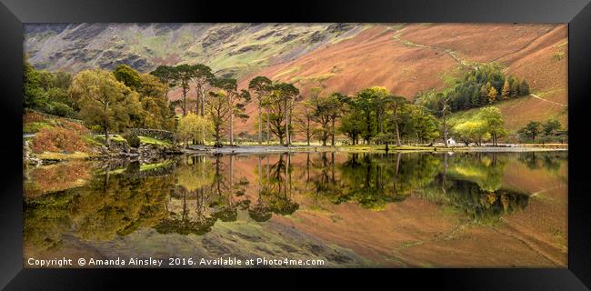 Autumn Reflections on Buttermere Framed Print by AMANDA AINSLEY