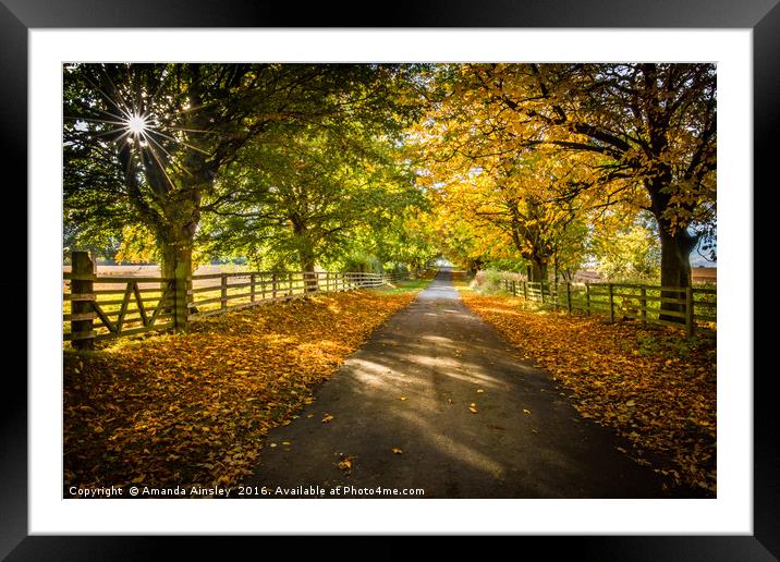 Autumn Lane Framed Mounted Print by AMANDA AINSLEY