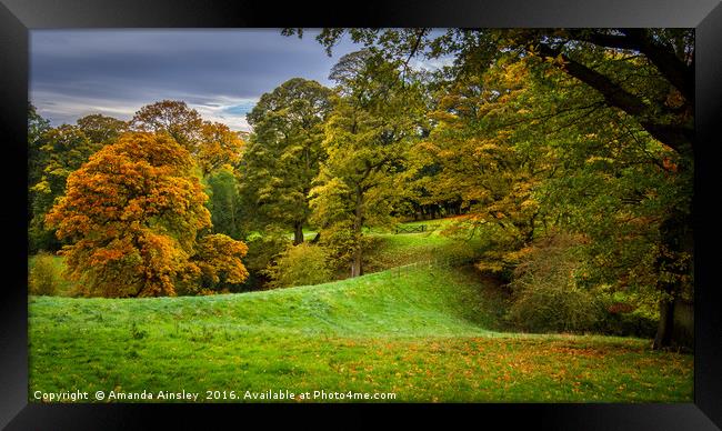 Autumn Leaves Framed Print by AMANDA AINSLEY