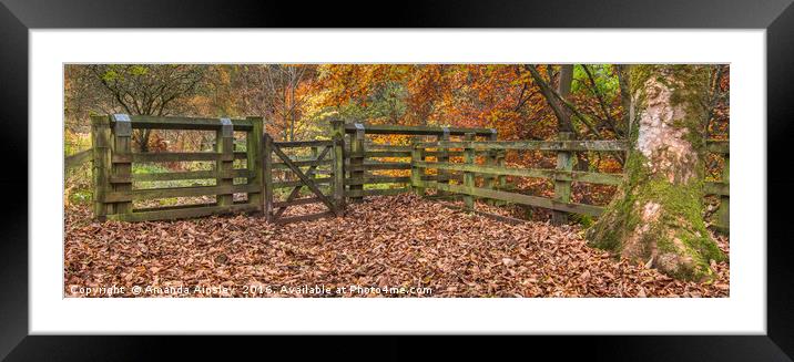 Autumn Gates Framed Mounted Print by AMANDA AINSLEY