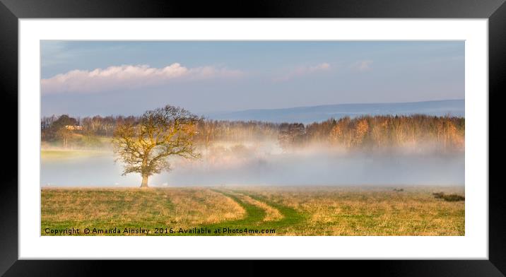 Misty Morning in Teesdale Framed Mounted Print by AMANDA AINSLEY
