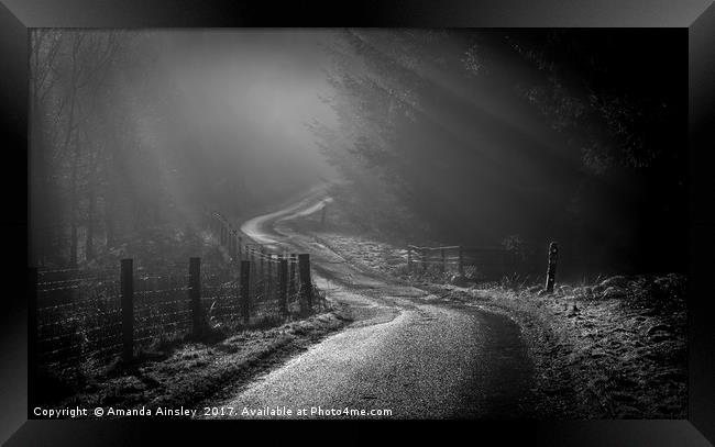 Misty Forest and Moody Sun Rays. Framed Print by AMANDA AINSLEY