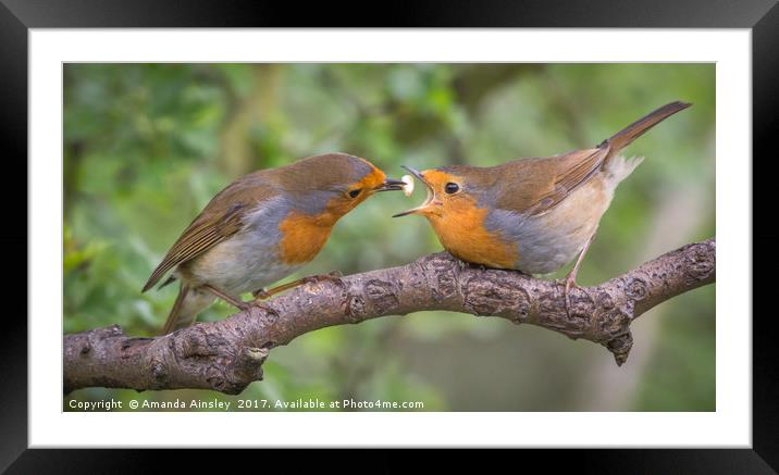 Open Wide Framed Mounted Print by AMANDA AINSLEY