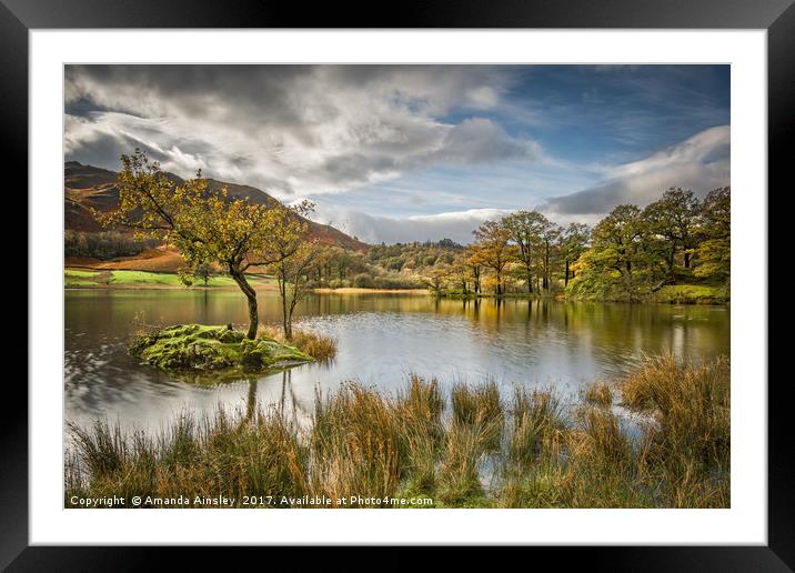 Autumn at Rydal Water Framed Mounted Print by AMANDA AINSLEY