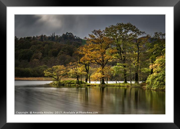Rydal Water in Autumn Framed Mounted Print by AMANDA AINSLEY