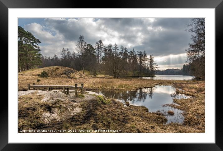 Radiant Reflections of Tarn Hows Framed Mounted Print by AMANDA AINSLEY