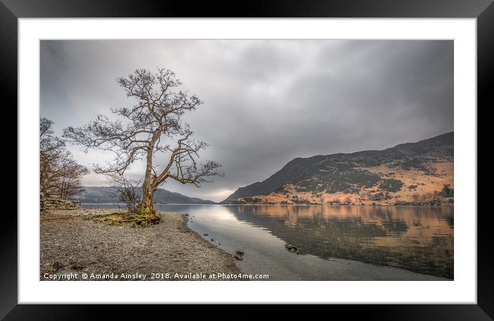 Serene Beauty Framed Mounted Print by AMANDA AINSLEY