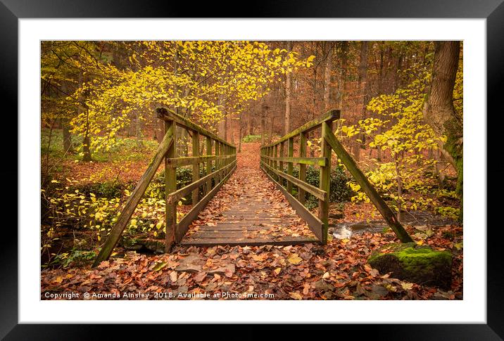 Enchantment in the Autumn Woods Framed Mounted Print by AMANDA AINSLEY