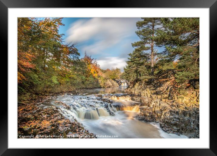 Golden Autumn at Low Force Framed Mounted Print by AMANDA AINSLEY