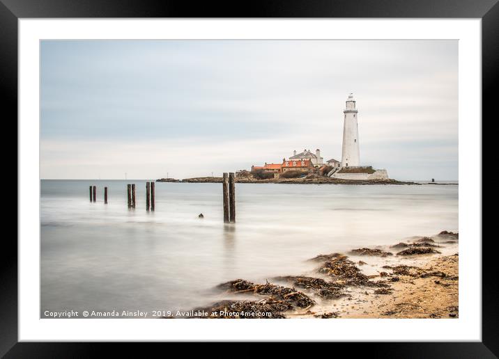 St Mary's Lighthouse Framed Mounted Print by AMANDA AINSLEY