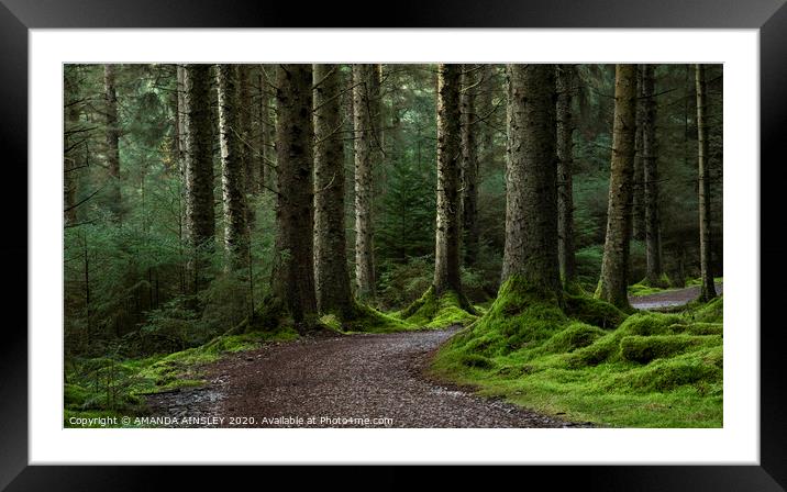 The Enchanting Woodland of Whinlatter Framed Mounted Print by AMANDA AINSLEY