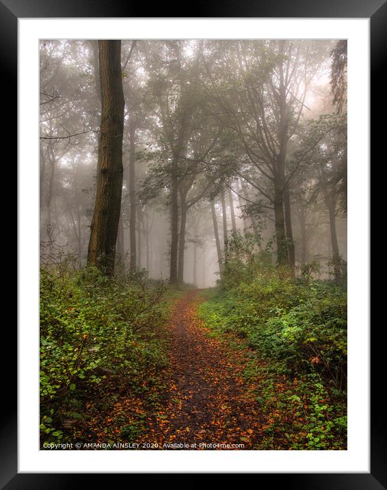 Misty Woodland Walk Framed Mounted Print by AMANDA AINSLEY