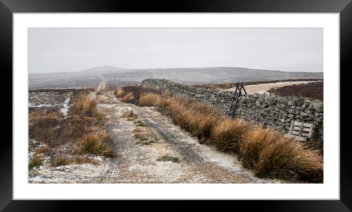 Winter Track Framed Mounted Print by AMANDA AINSLEY