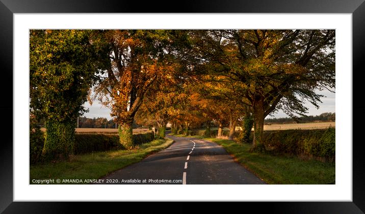 Majestic Autumn Pathway Framed Mounted Print by AMANDA AINSLEY