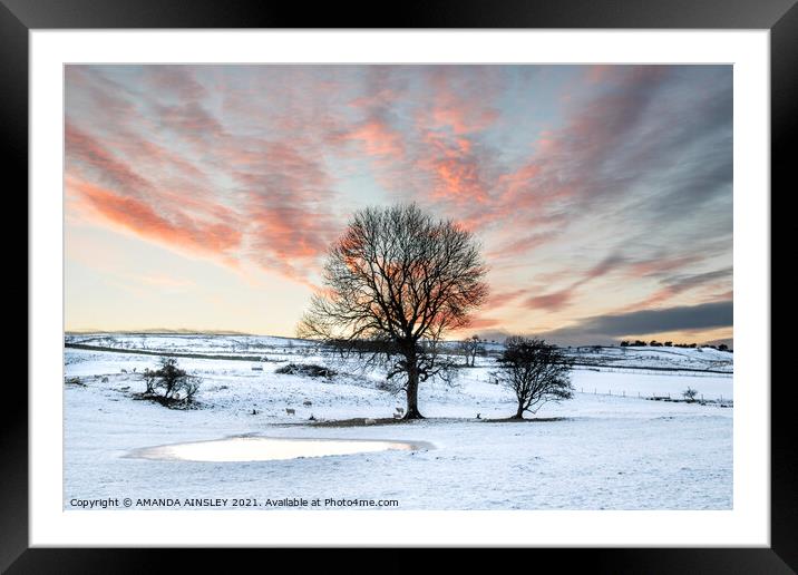 Winter Sunset Framed Mounted Print by AMANDA AINSLEY