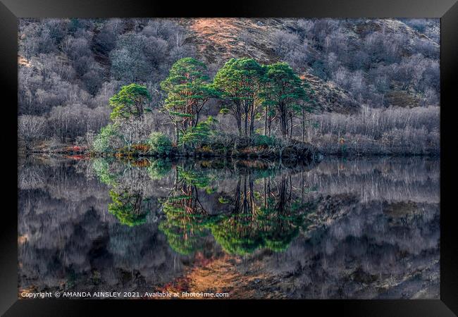 Majestic Scots Pines Reflecting on Loch Eilt Framed Print by AMANDA AINSLEY