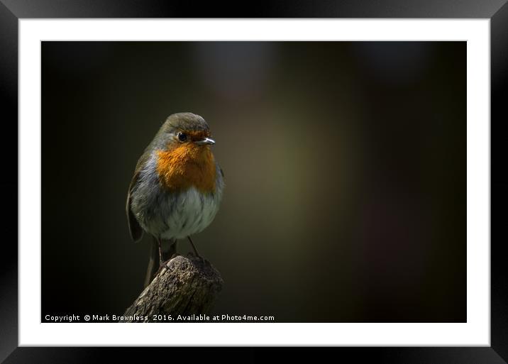 'Robin perched on a fork handle' Framed Mounted Print by Mark Brownless
