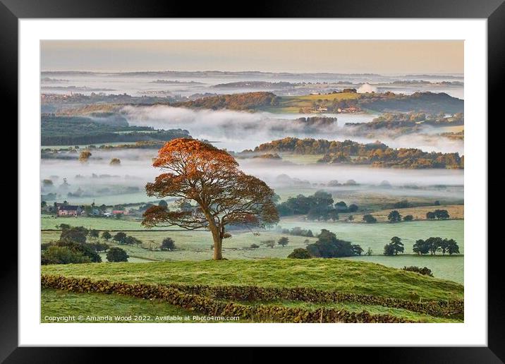Misty Valley  Framed Mounted Print by Amanda Wood