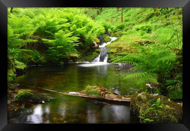       Venford brook                               Framed Print by philip myers